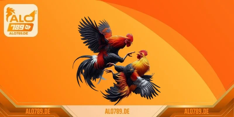 Đá gà S128 có uy tín không? Review chi tiết mới nhất 2026