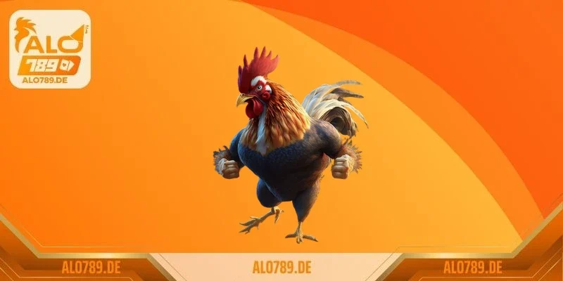 Top 10 giống gà đá hay nhất thế giới sư kê không thể bỏ qua