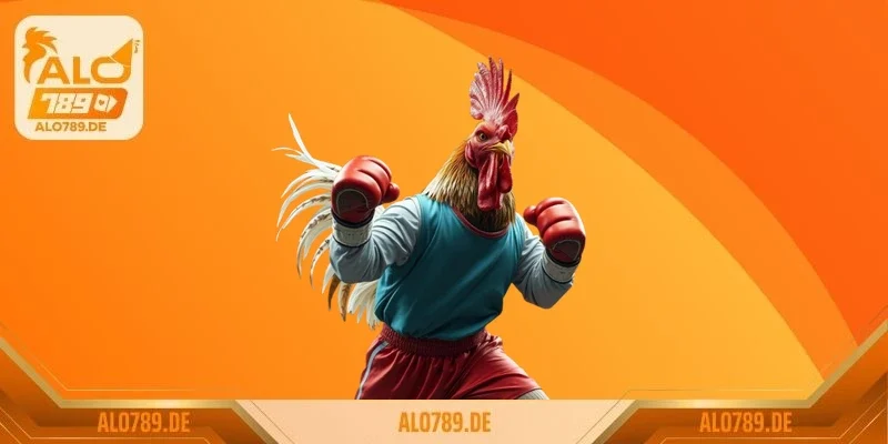 Trận đá gà 50 tỷ và những bí ẩn khiến giới cược thủ phát sốt