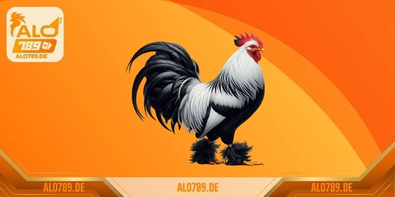 Lối gà chọi hay nhất Việt Nam và thế giới hiện nay