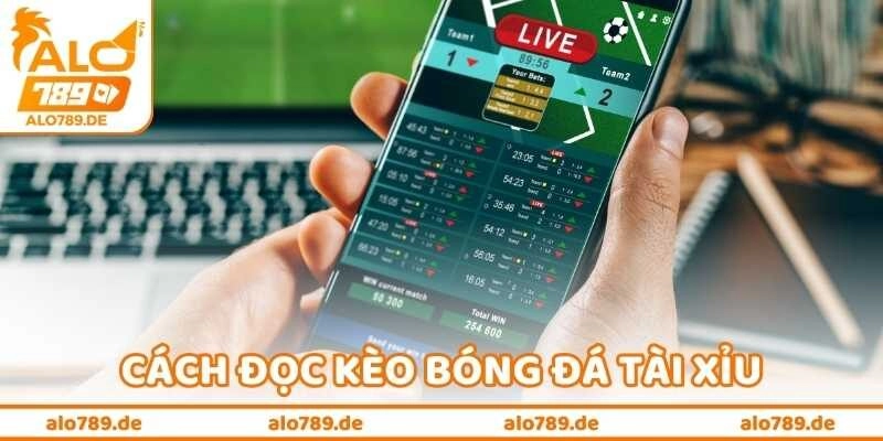 Cách Đọc Kèo Bóng Đá Tài Xỉu Nhanh Trước Giờ Bóng Lăn